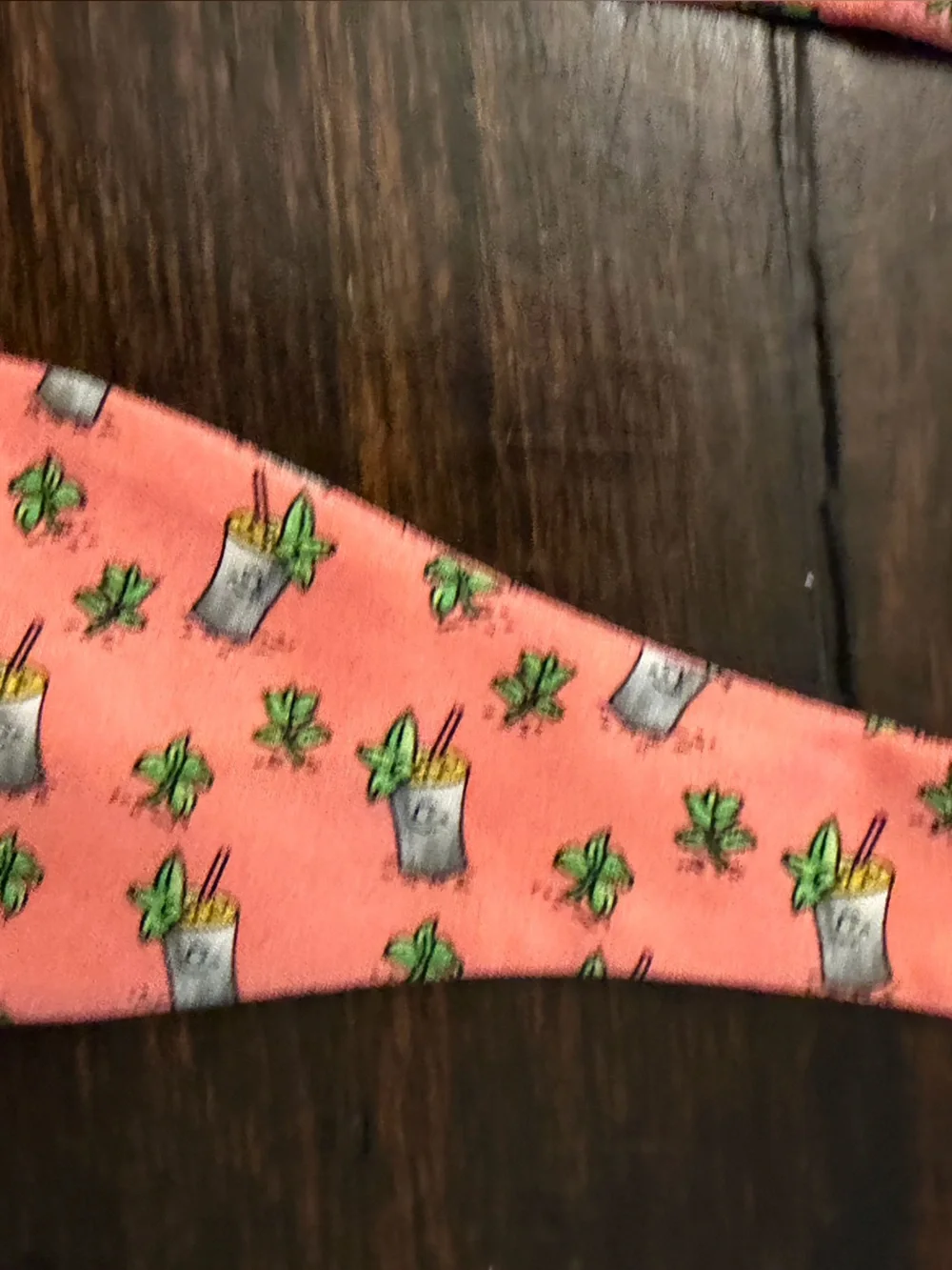 Alynn stylish coral